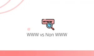 WWW vs. non-WWW URL | Care este mai bun pentru SEO?