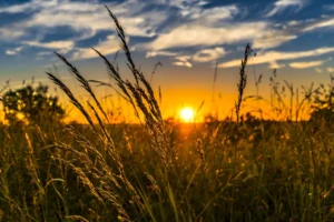 Cele mai bune startup-uri agritech premiate la Nextcelerator