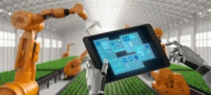 Top 5 industrii care au investit în digitalizare în lunile de vară