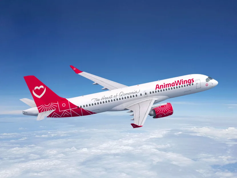 AnimaWings plane