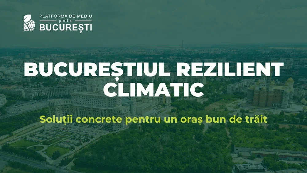 Fundația Comunitară București: Capitala are nevoie urgentă de o strategie de reziliență climatică. 500.000 de lei prin Platforma de mediu pentru București pentru proiecte care cresc reziliența orașului
