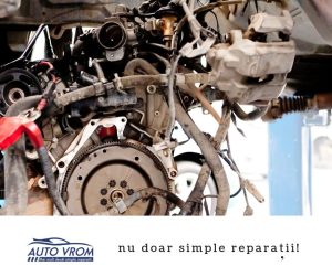 68679578 2347675668651925 741487908510236672 n.jpg