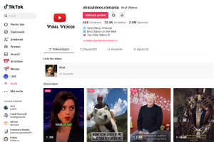 tiktok agent promovator.png